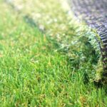 Artificial Turf